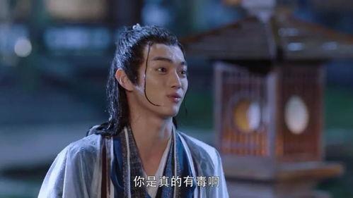 徐凯 演员,演艺圈的多面手，从荧幕到舞台的璀璨星辉