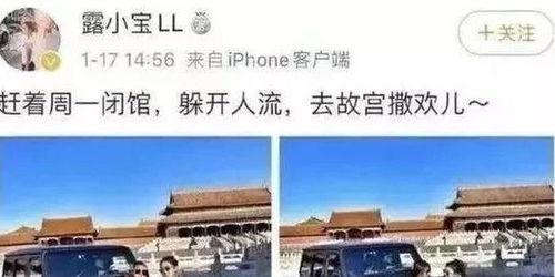 开车进故宫事件主人背景,揭秘涉事车主背景与争议焦点